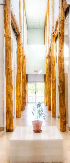 Hallway of sustainable living center with tree pillars